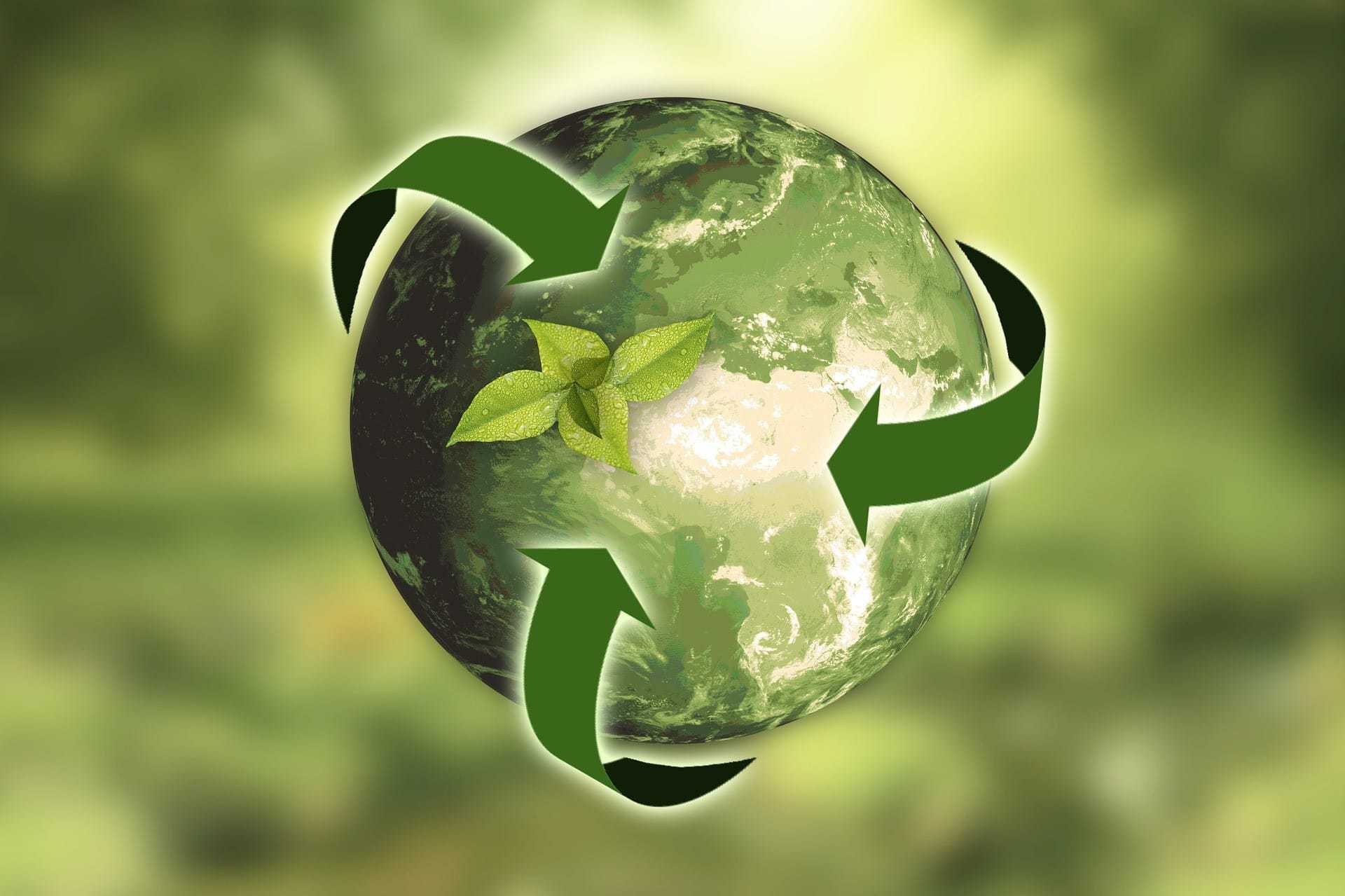 You are currently viewing Les produits de nettoyages écologiques pourquoi y passer ?